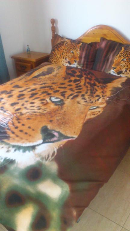 Casa Kiki Guest House El Cuchillo Zewnętrze zdjęcie